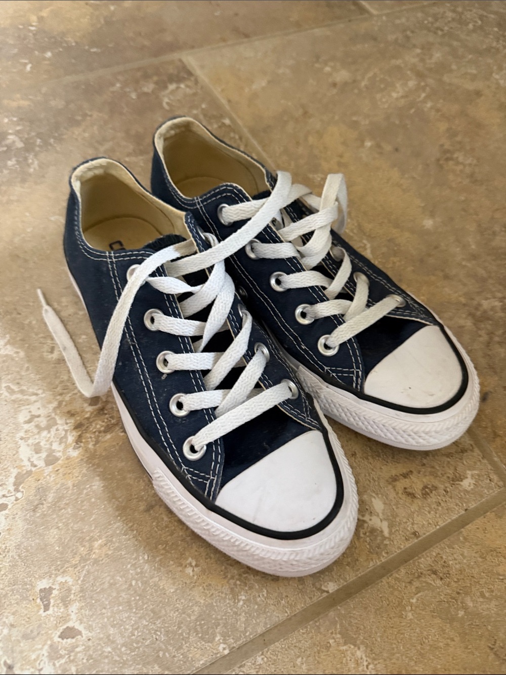 Converse Navy Canvas Low-Top Sneakers